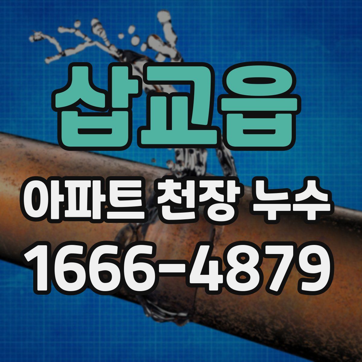 삽교읍 아파트 천장 누수