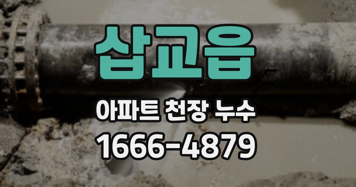삽교읍 아파트 천장 누수