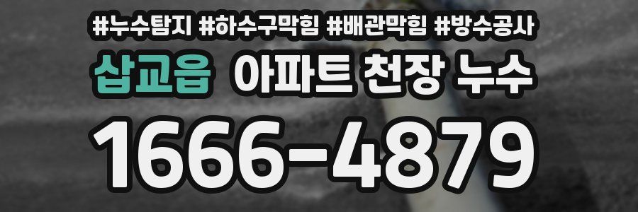 삽교읍 아파트 천장 누수