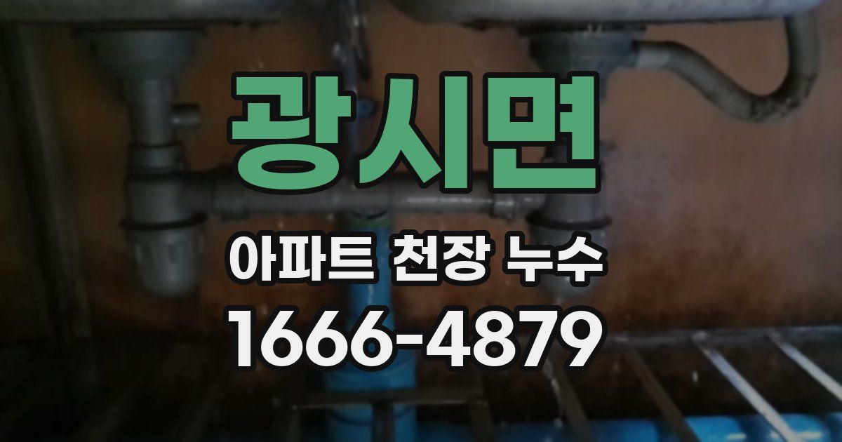 광시면 아파트 천장 누수