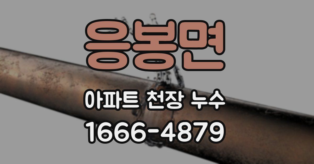 응봉면 아파트 천장 누수