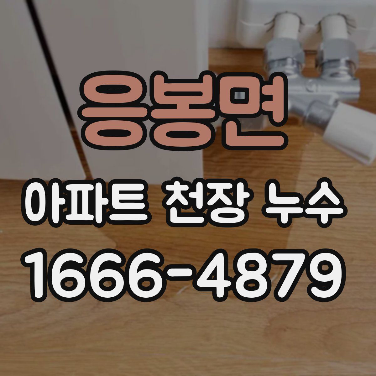 응봉면 아파트 천장 누수