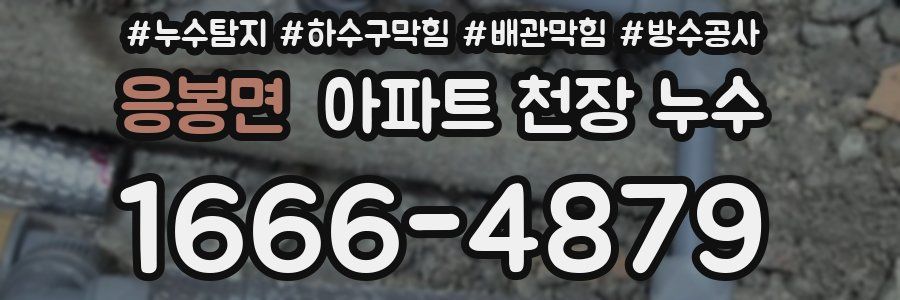 응봉면 아파트 천장 누수