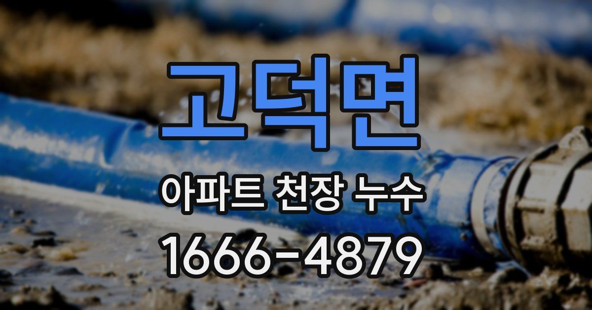 고덕면 아파트 천장 누수