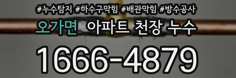 오가면 아파트 천장 누수