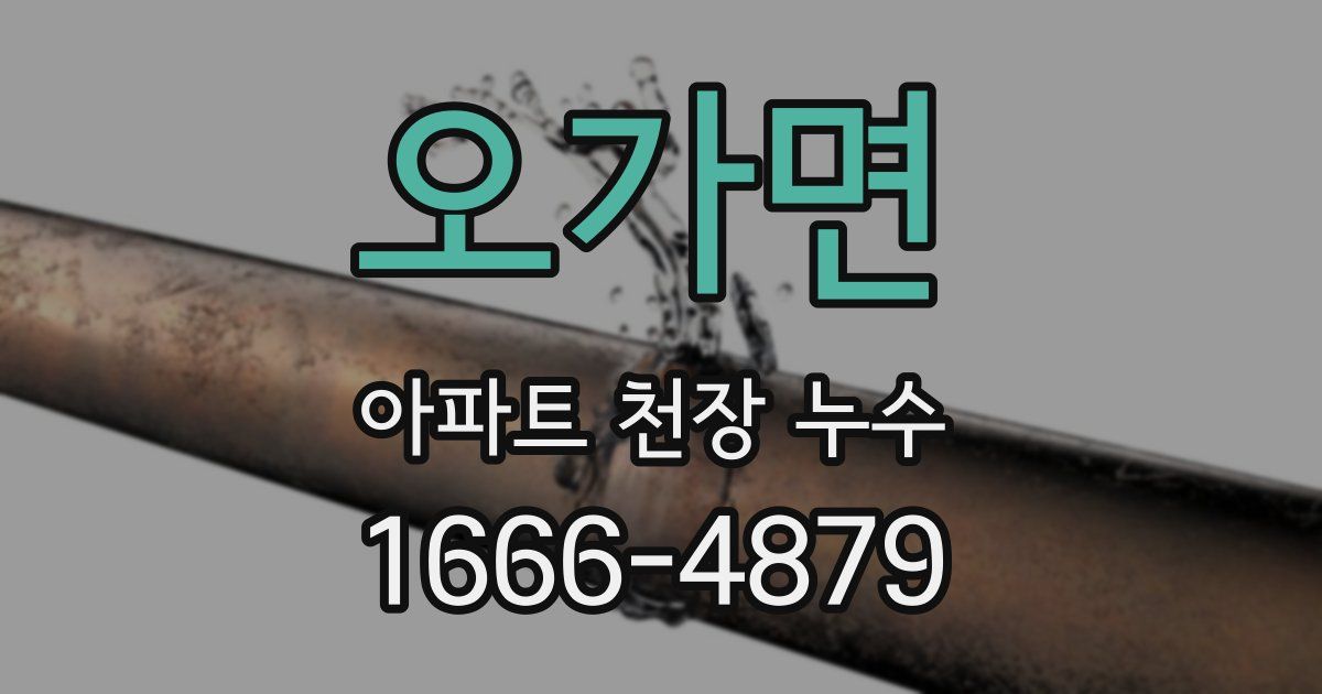 오가면 아파트 천장 누수