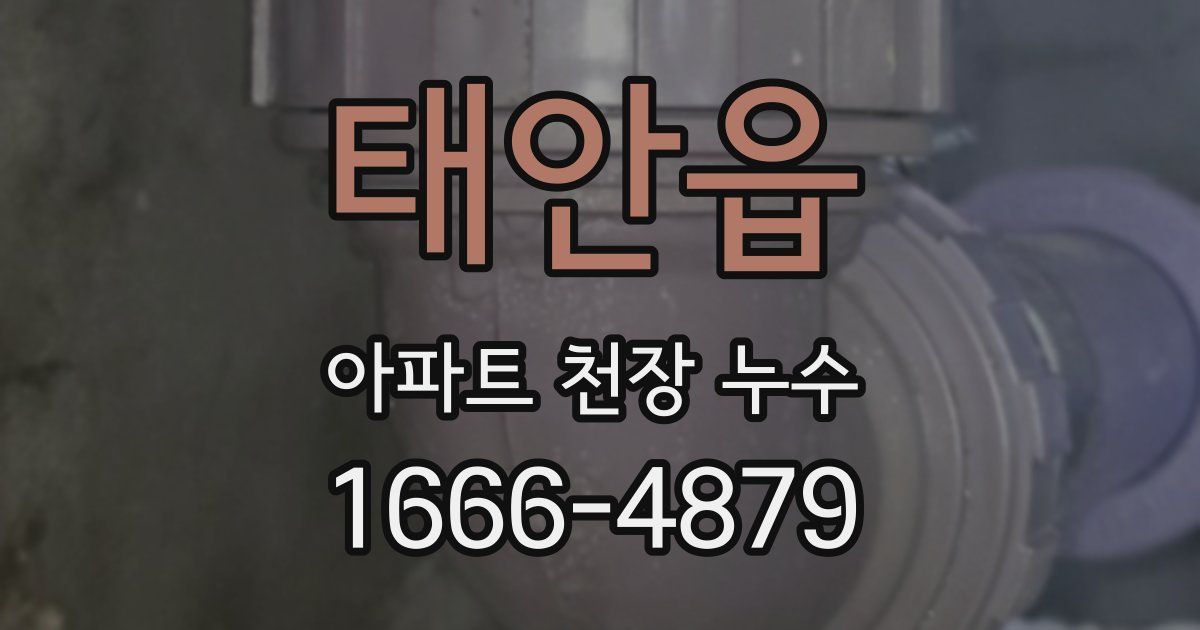 태안읍 아파트 천장 누수