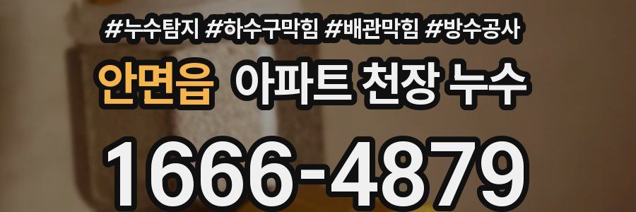안면읍 아파트 천장 누수
