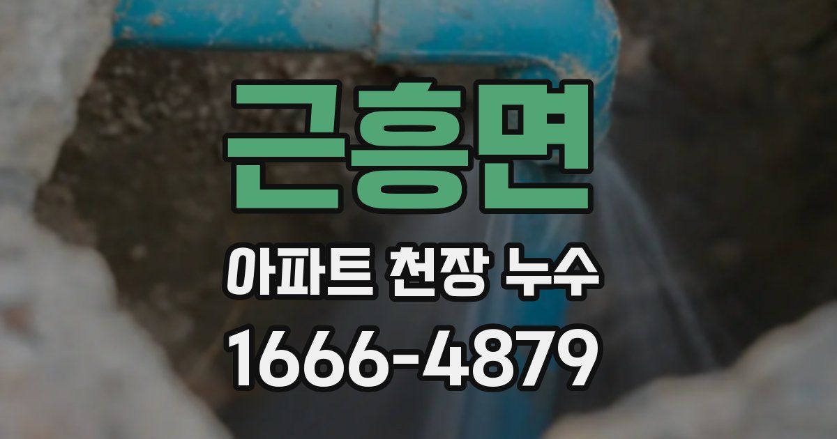 근흥면 아파트 천장 누수