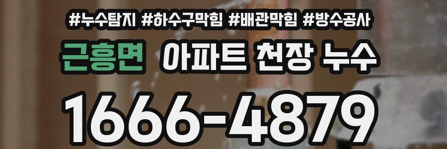 근흥면 아파트 천장 누수