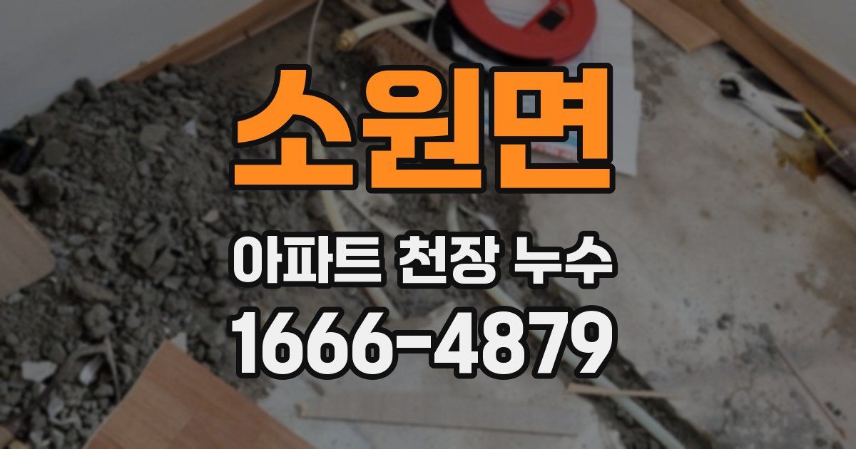 소원면 아파트 천장 누수