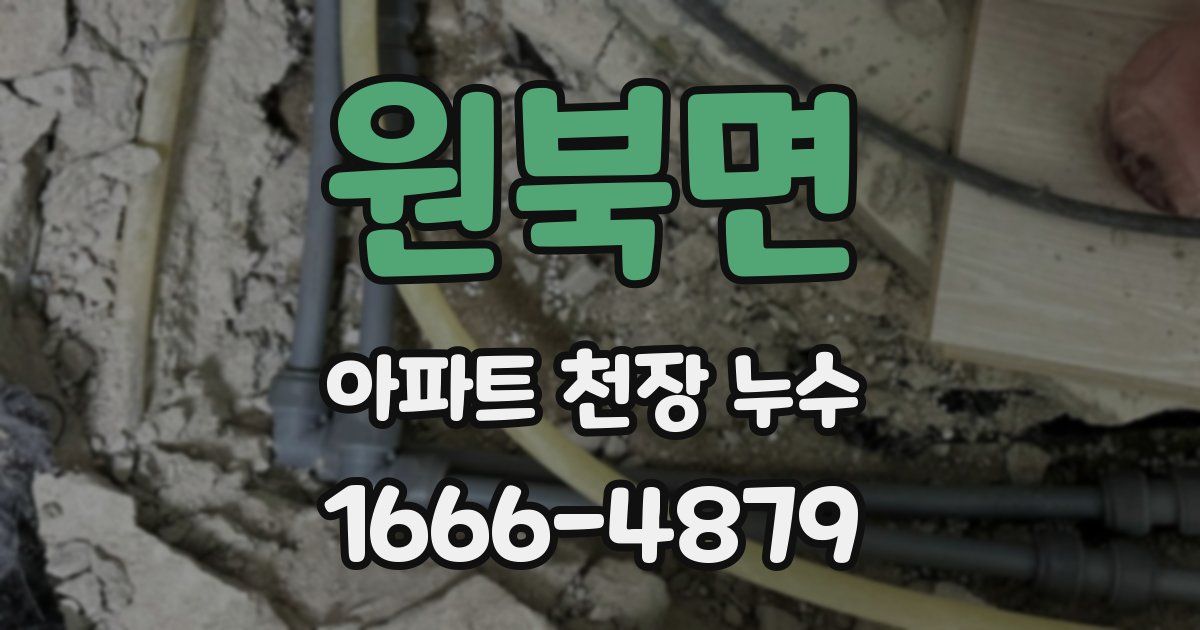 원북면 아파트 천장 누수