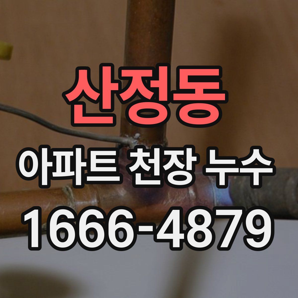 산정동 아파트 천장 누수