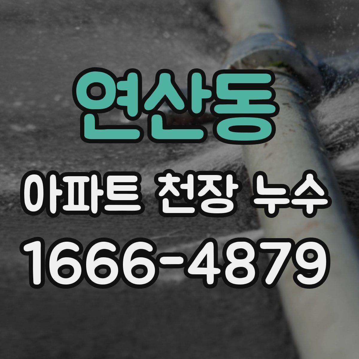 연산동 아파트 천장 누수