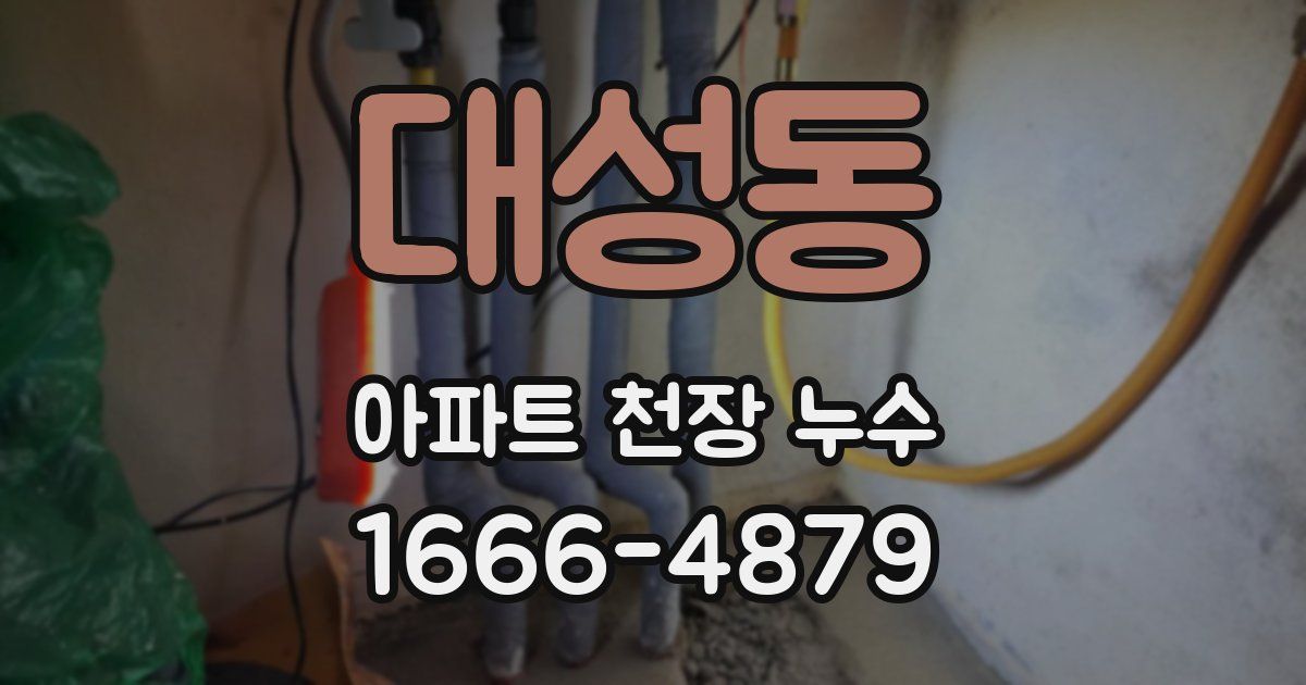 대성동 아파트 천장 누수