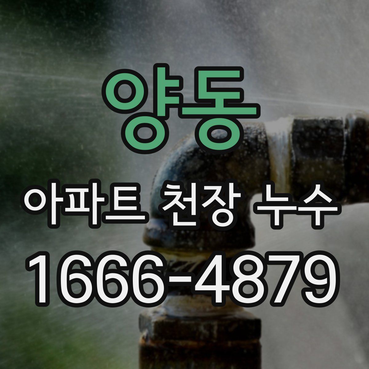 양동 아파트 천장 누수