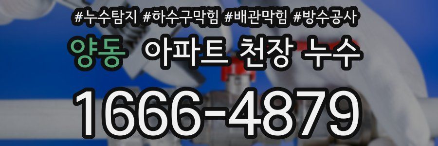 양동 아파트 천장 누수