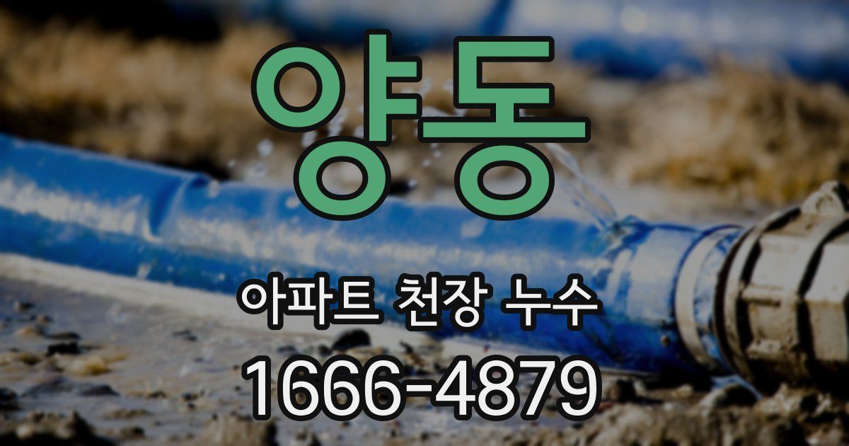 양동 아파트 천장 누수