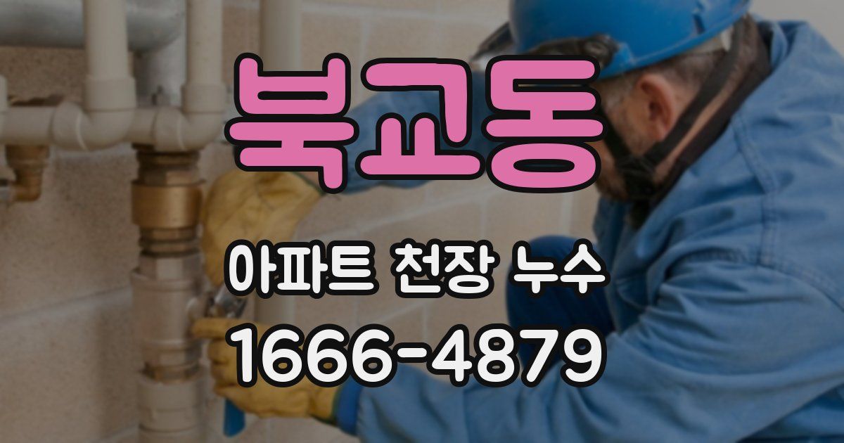 북교동 아파트 천장 누수