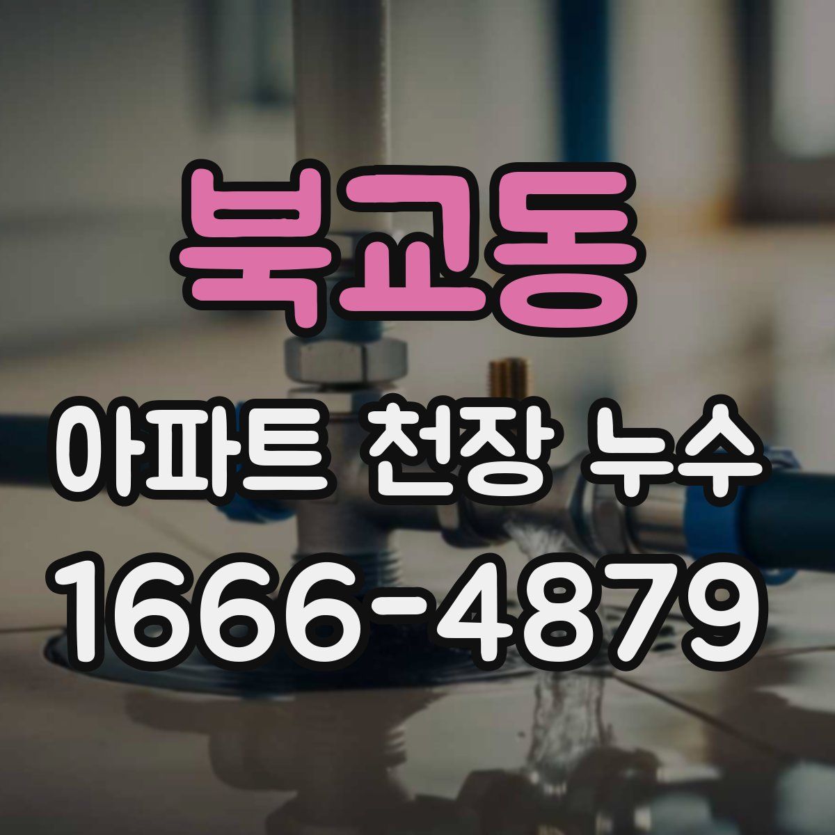북교동 아파트 천장 누수