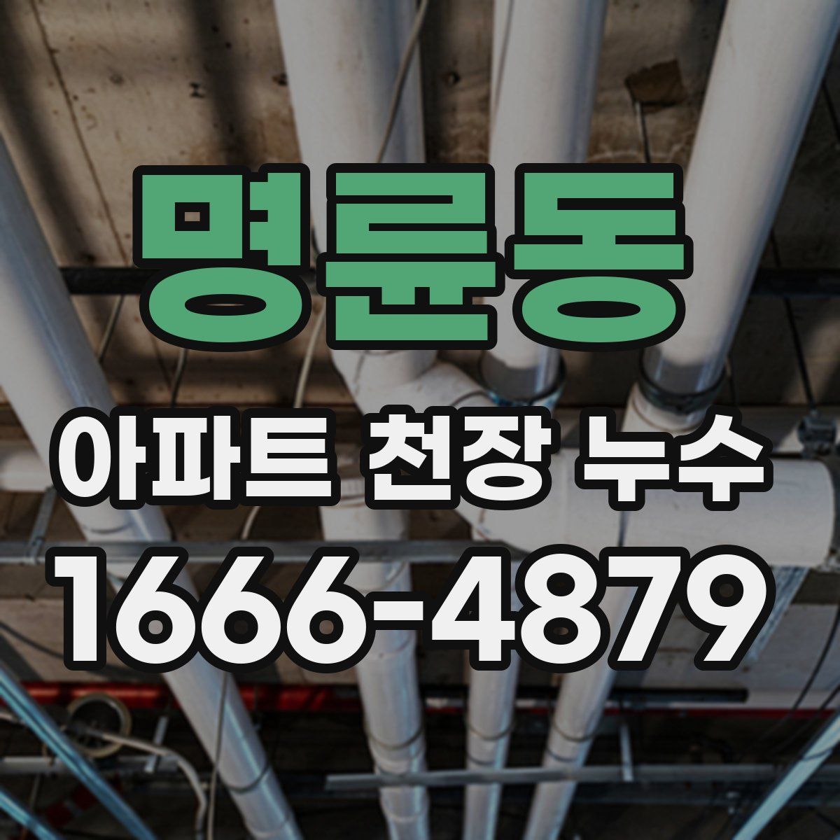 명륜동 아파트 천장 누수