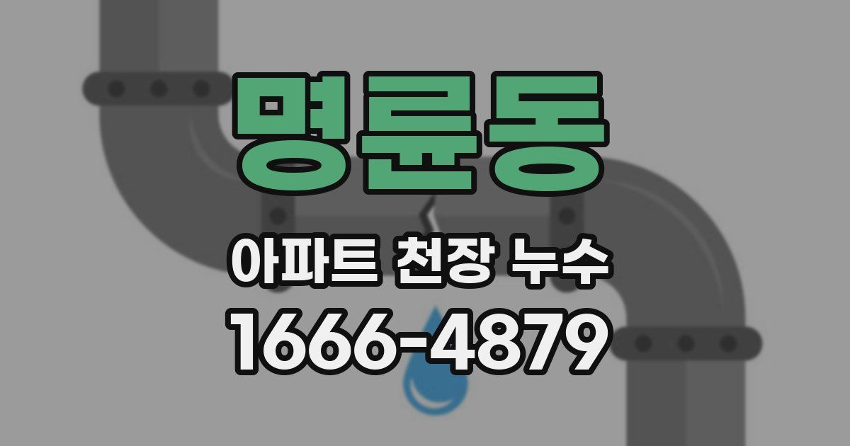 명륜동 아파트 천장 누수