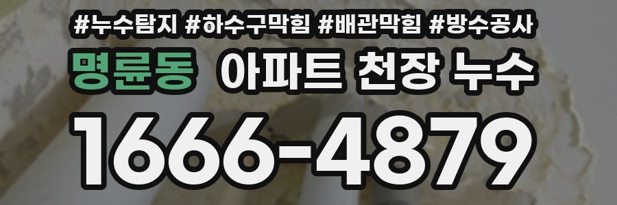 명륜동 아파트 천장 누수