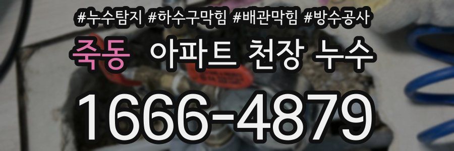 죽동 아파트 천장 누수