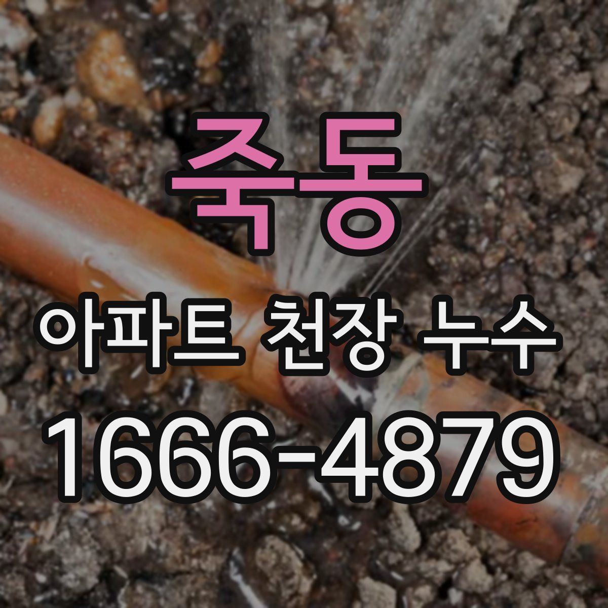 죽동 아파트 천장 누수
