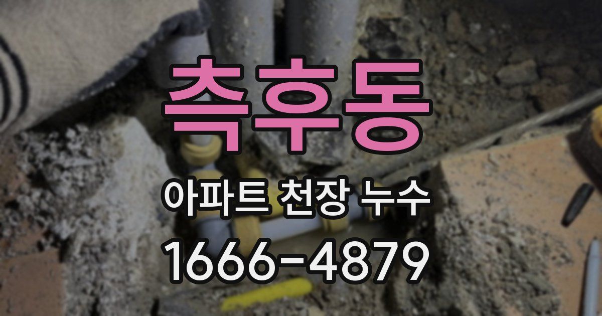 측후동 아파트 천장 누수