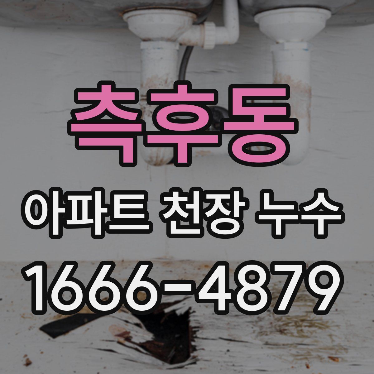 측후동 아파트 천장 누수