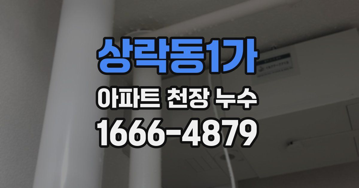 상락동1가 아파트 천장 누수