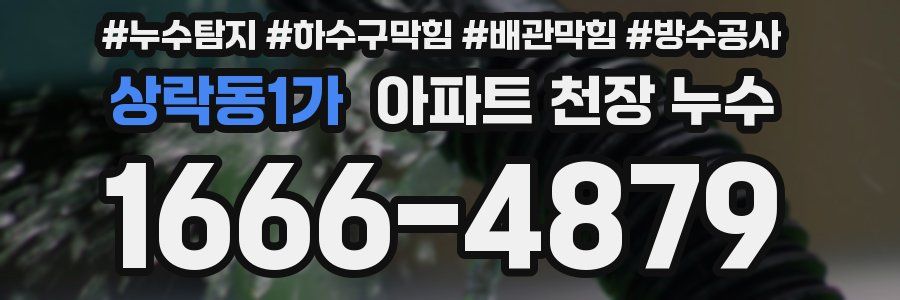상락동1가 아파트 천장 누수