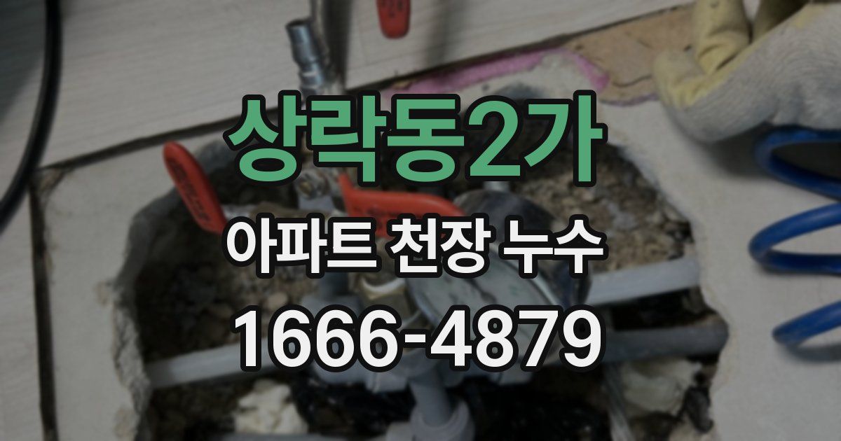 상락동2가 아파트 천장 누수