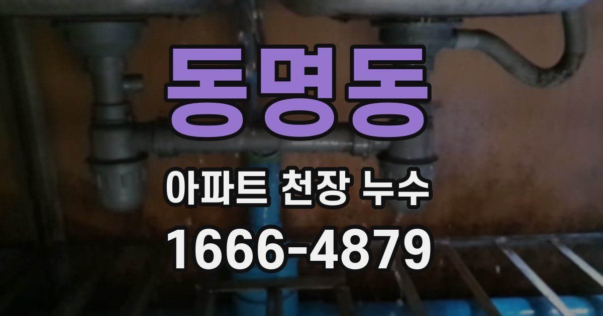 동명동 아파트 천장 누수