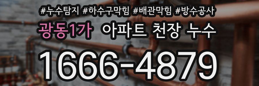 광동1가 아파트 천장 누수