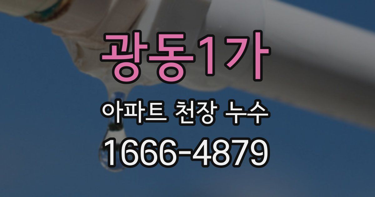 광동1가 아파트 천장 누수