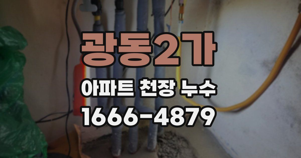 광동2가 아파트 천장 누수