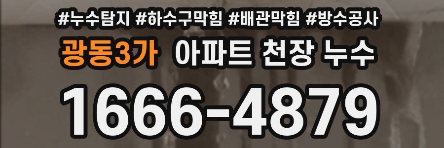 광동3가 아파트 천장 누수