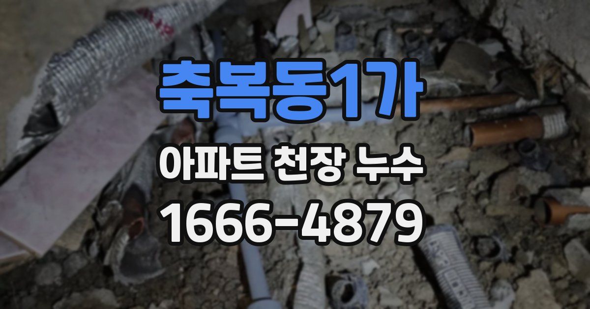 축복동1가 아파트 천장 누수