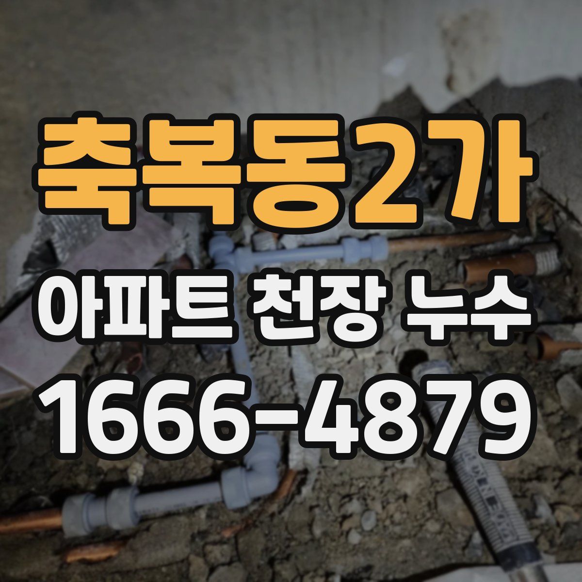 축복동2가 아파트 천장 누수