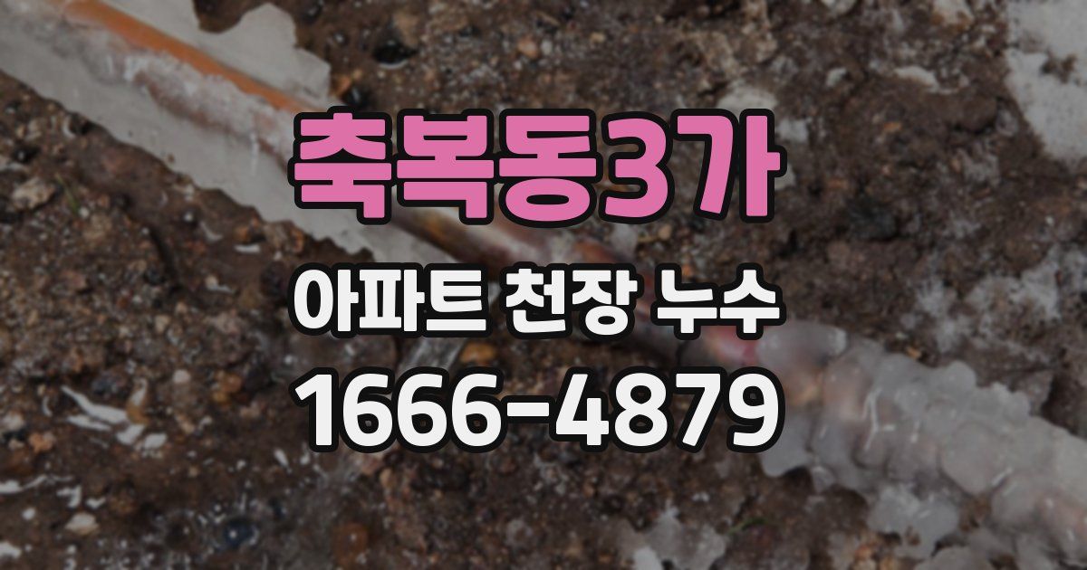 축복동3가 아파트 천장 누수
