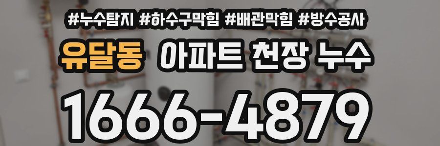 유달동 아파트 천장 누수