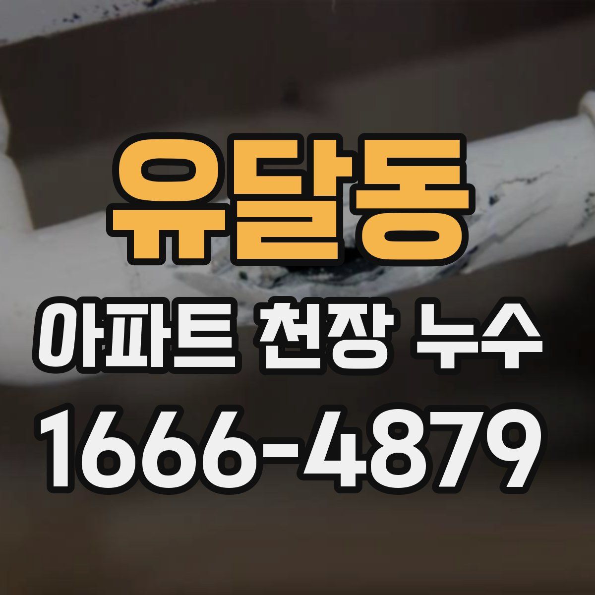 유달동 아파트 천장 누수