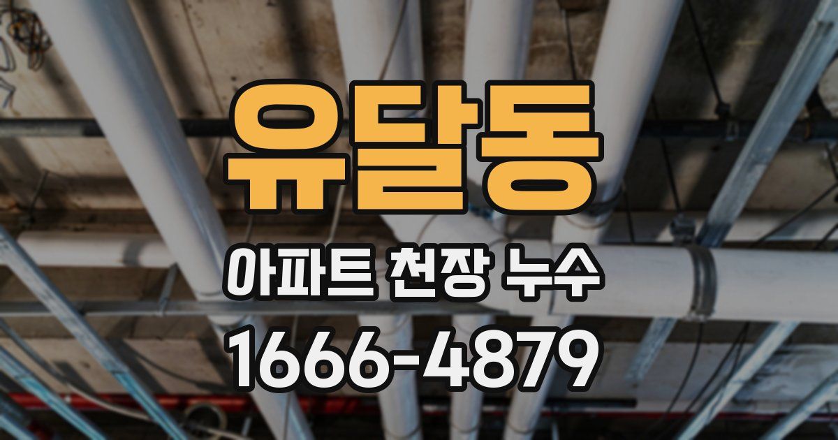 유달동 아파트 천장 누수