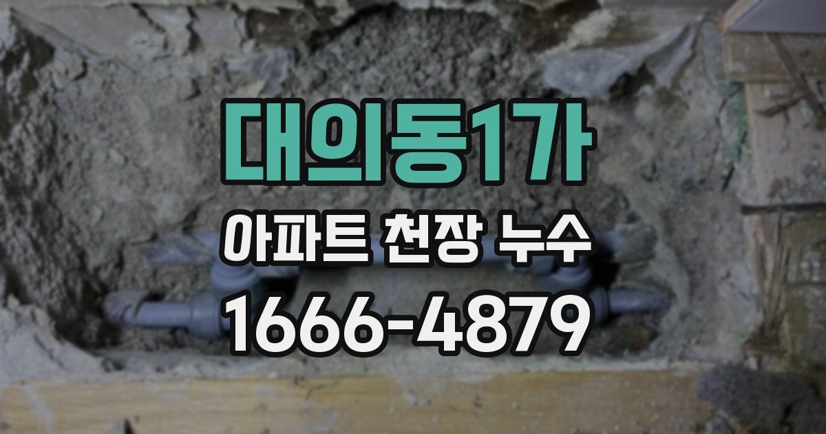 대의동1가 아파트 천장 누수
