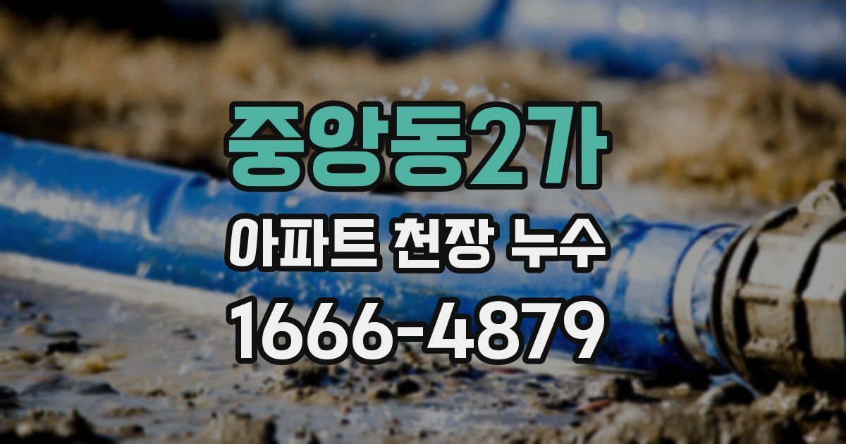 중앙동2가 아파트 천장 누수