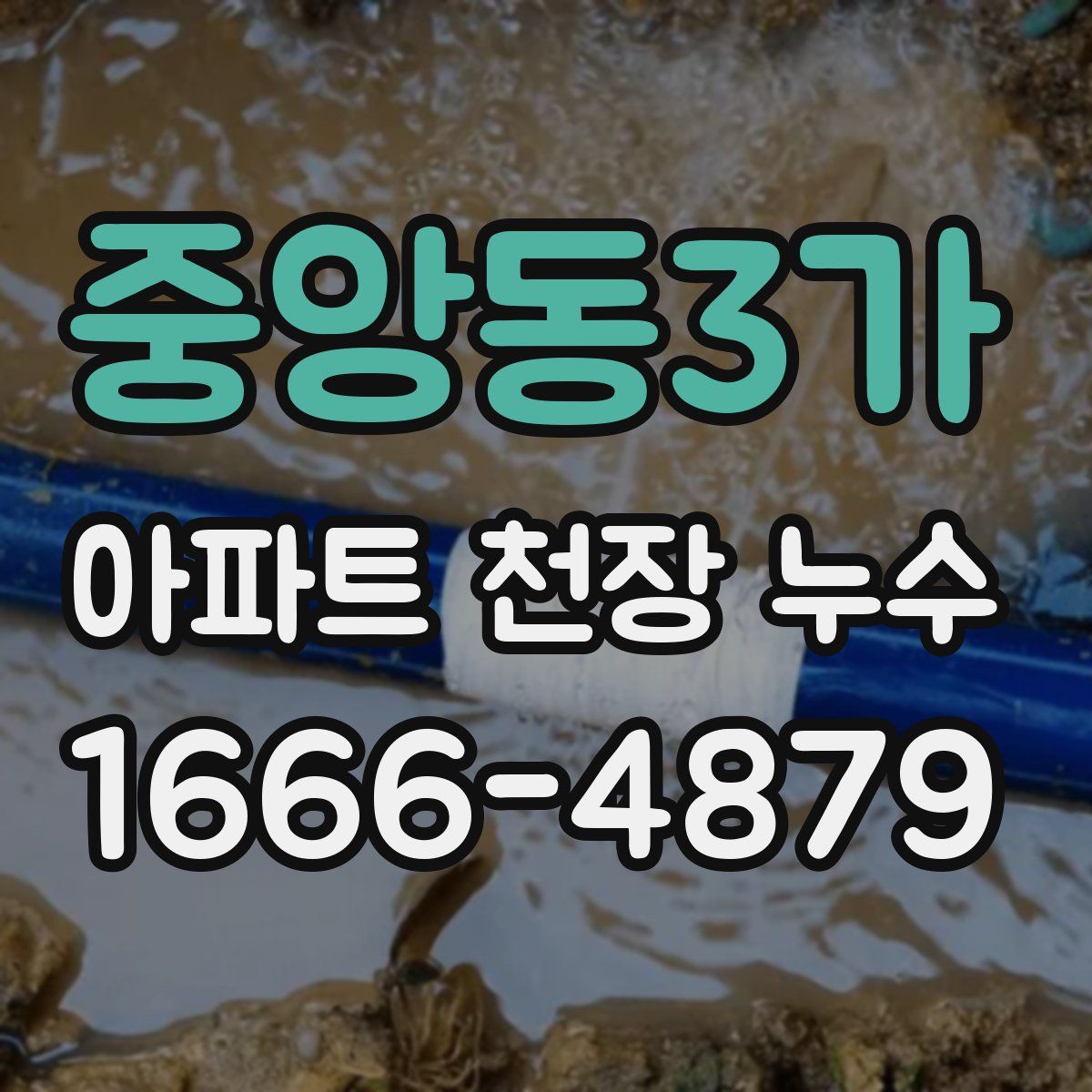 중앙동3가 아파트 천장 누수