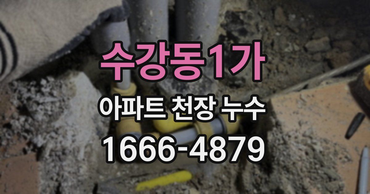 수강동1가 아파트 천장 누수