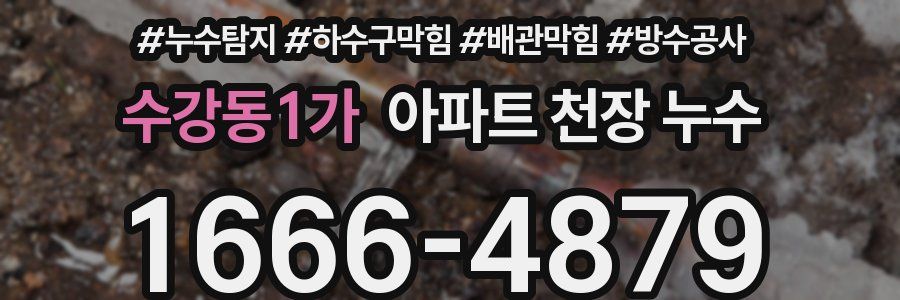 수강동1가 아파트 천장 누수